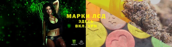 бошки Лабытнанги