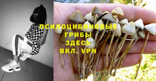 бошки Лабытнанги