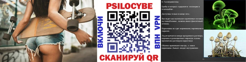 Купить где  Белая Калитва  Псилоцибиновые грибы Psilocybe 